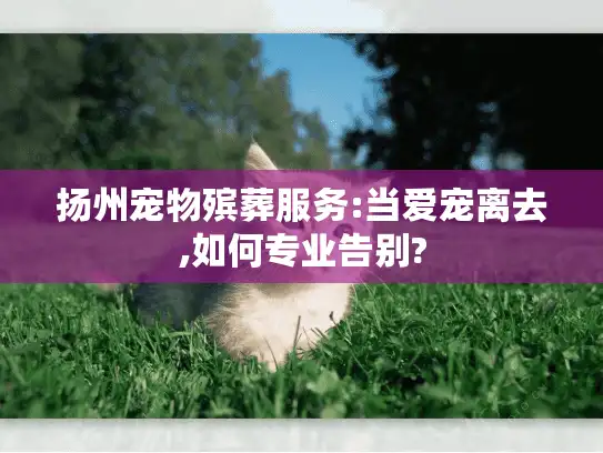 扬州宠物殡葬服务:当爱宠离去,如何专业告别?
