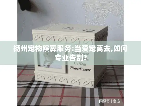 扬州宠物殡葬服务:当爱宠离去,如何专业告别?