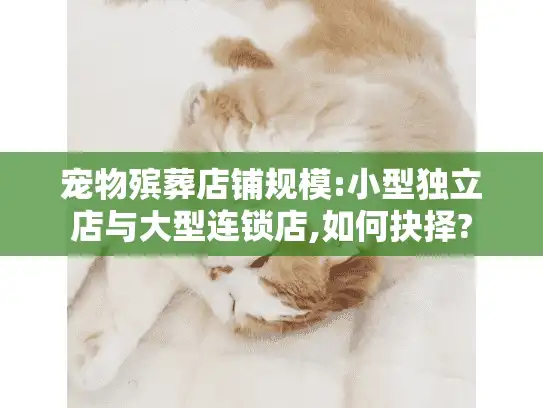 宠物殡葬店铺规模:小型独立店与大型连锁店,如何抉择?