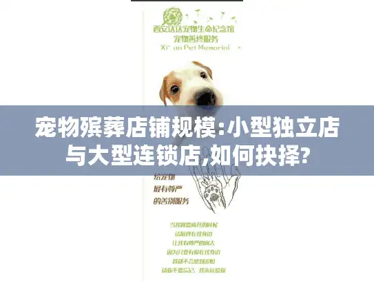 宠物殡葬店铺规模:小型独立店与大型连锁店,如何抉择?