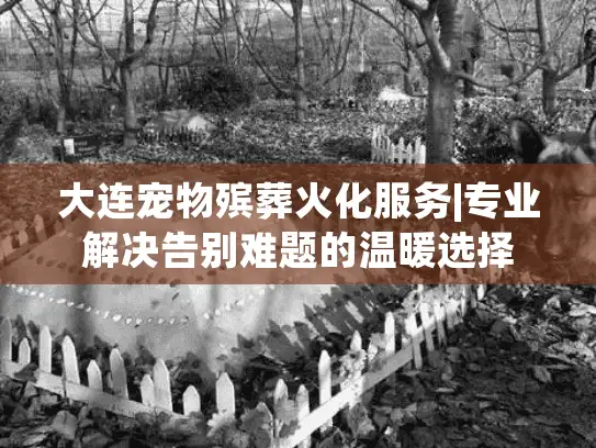 大连宠物殡葬火化服务|专业解决告别难题的温暖选择