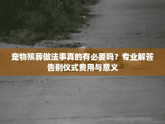 宠物殡葬做法事真的有必要吗？专业解答告别仪式费用与意义