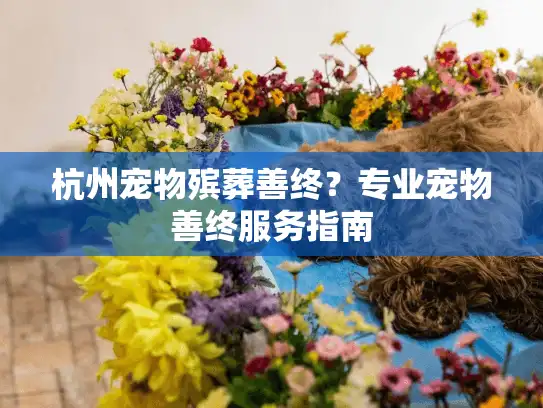 杭州宠物殡葬善终？专业宠物善终服务指南