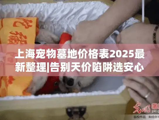 上海宠物墓地价格表2025最新整理|告别天价陷阱选安心归宿