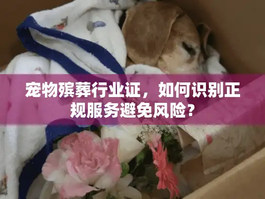 宠物殡葬行业证，如何识别正规服务避免风险？