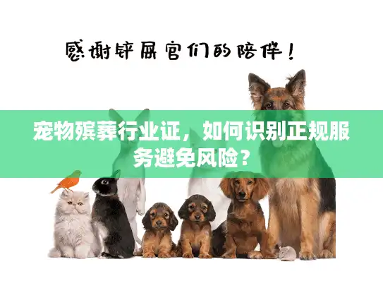 宠物殡葬行业证，如何识别正规服务避免风险？