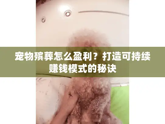宠物殡葬怎么盈利？打造可持续赚钱模式的秘诀