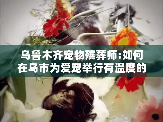 乌鲁木齐宠物殡葬师:如何在乌市为爱宠举行有温度的告别?