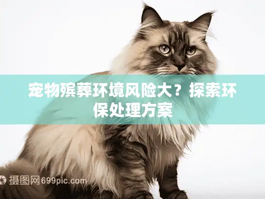 宠物殡葬环境风险大？探索环保处理方案