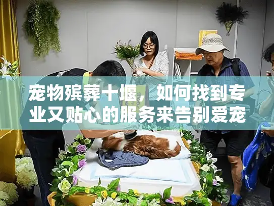 宠物殡葬十堰，如何找到专业又贴心的服务来告别爱宠？