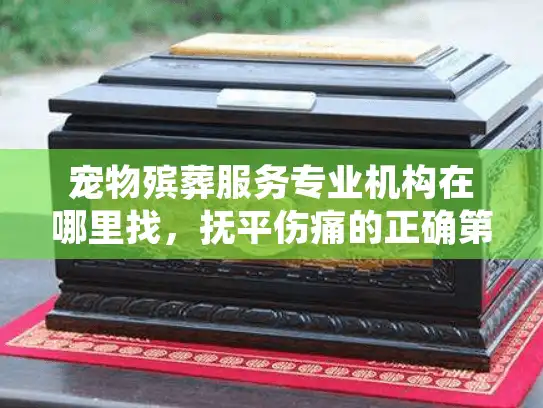 宠物殡葬服务专业机构在哪里找，抚平伤痛的正确第一步