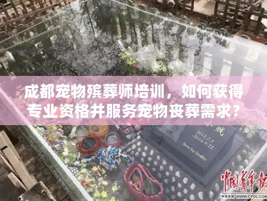成都宠物殡葬师培训，如何获得专业资格并服务宠物丧葬需求？