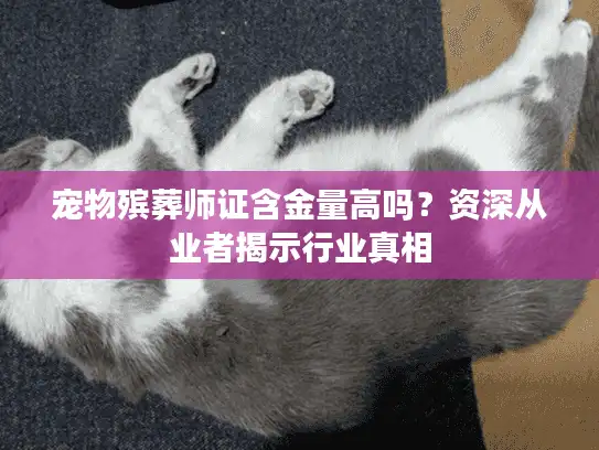 宠物殡葬师证含金量高吗？资深从业者揭示行业真相