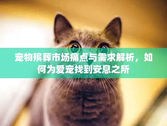 宠物殡葬市场痛点与需求解析，如何为爱宠找到安息之所