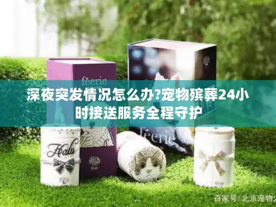 深夜突发情况怎么办?宠物殡葬24小时接送服务全程守护