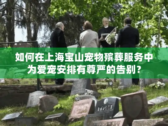 如何在上海宝山宠物殡葬服务中为爱宠安排有尊严的告别？