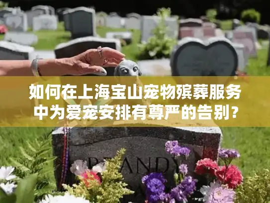 如何在上海宝山宠物殡葬服务中为爱宠安排有尊严的告别？