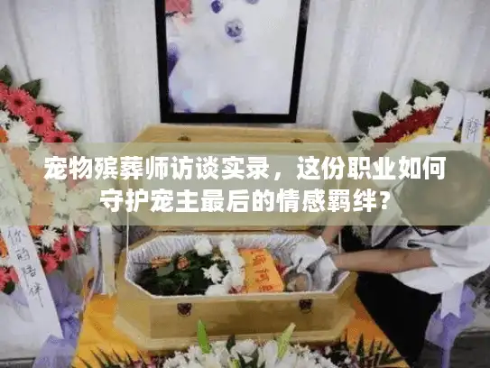 宠物殡葬师访谈实录，这份职业如何守护宠主最后的情感羁绊？