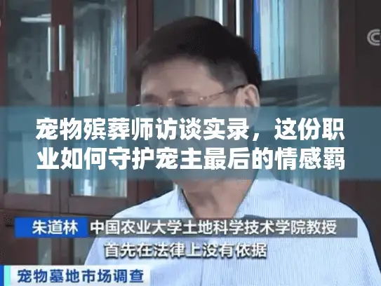 宠物殡葬师访谈实录，这份职业如何守护宠主最后的情感羁绊？