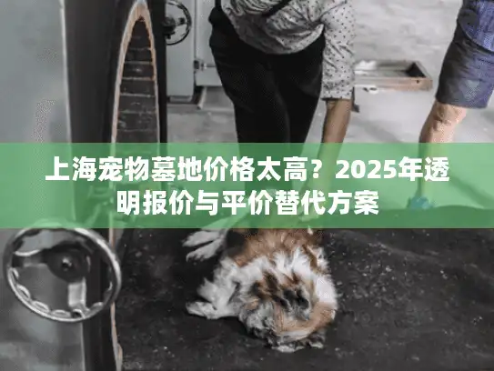 上海宠物墓地价格太高？2025年透明报价与平价替代方案