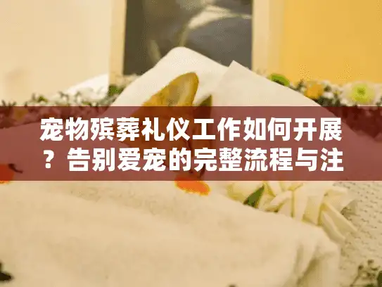 宠物殡葬礼仪工作如何开展？告别爱宠的完整流程与注意事项