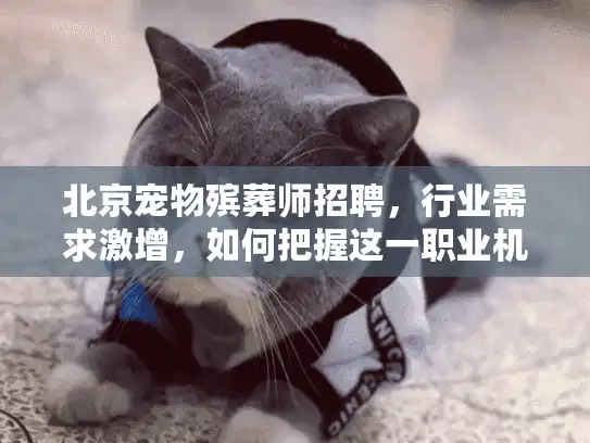 北京宠物殡葬师招聘，行业需求激增，如何把握这一职业机遇？