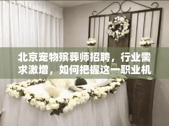 北京宠物殡葬师招聘，行业需求激增，如何把握这一职业机遇？
