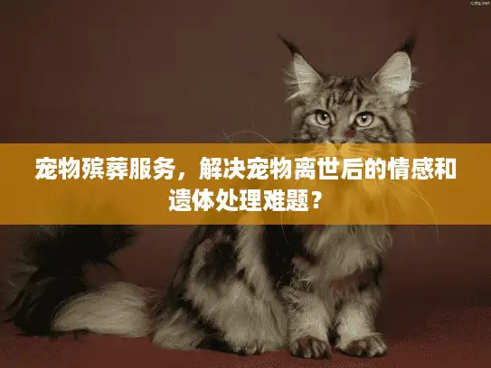 宠物殡葬服务，解决宠物离世后的情感和遗体处理难题？