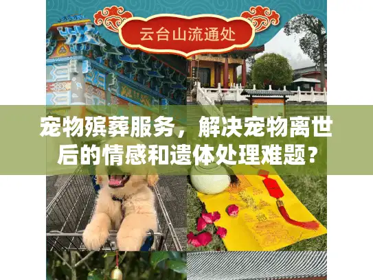 宠物殡葬服务，解决宠物离世后的情感和遗体处理难题？