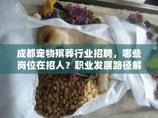 成都宠物殡葬行业招聘，哪些岗位在招人？职业发展路径解析