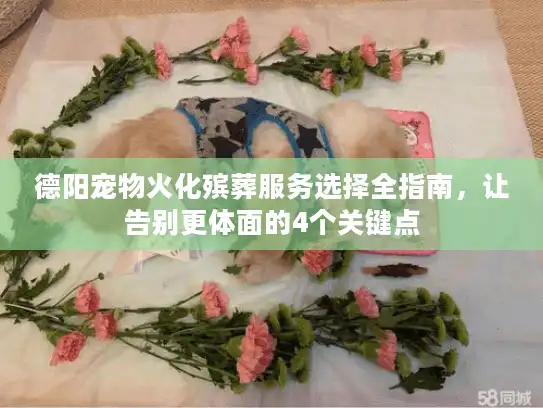 德阳宠物火化殡葬服务选择全指南，让告别更体面的4个关键点