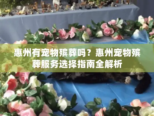 惠州有宠物殡葬吗？惠州宠物殡葬服务选择指南全解析