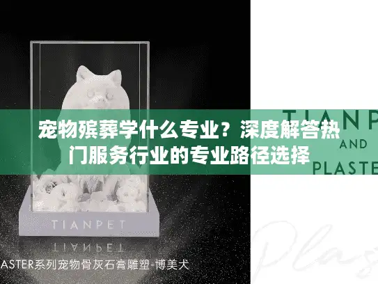 宠物殡葬学什么专业？深度解答热门服务行业的专业路径选择