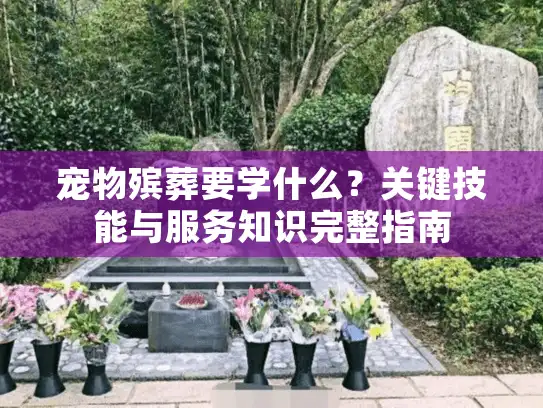 宠物殡葬要学什么？关键技能与服务知识完整指南
