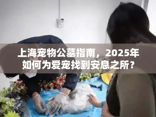 上海宠物公墓指南，2025年如何为爱宠找到安息之所？