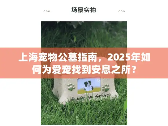 上海宠物公墓指南，2025年如何为爱宠找到安息之所？
