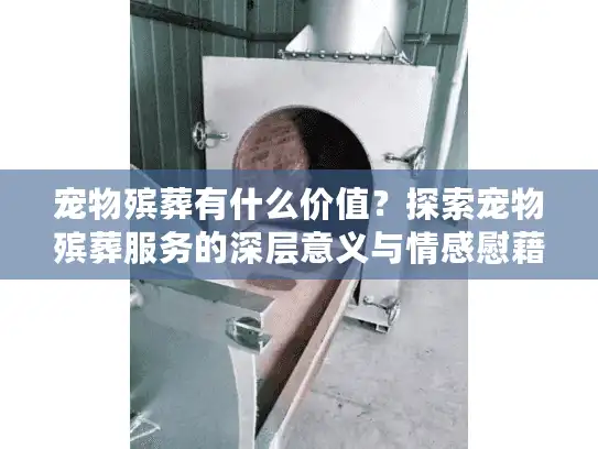 宠物殡葬有什么价值？探索宠物殡葬服务的深层意义与情感慰藉益处