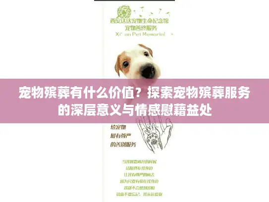 宠物殡葬有什么价值？探索宠物殡葬服务的深层意义与情感慰藉益处