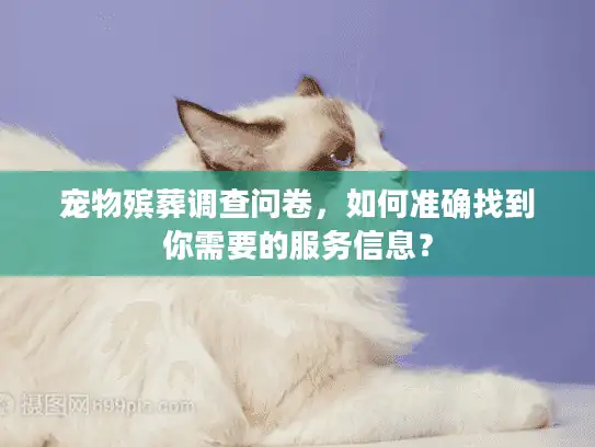 宠物殡葬调查问卷，如何准确找到你需要的服务信息？