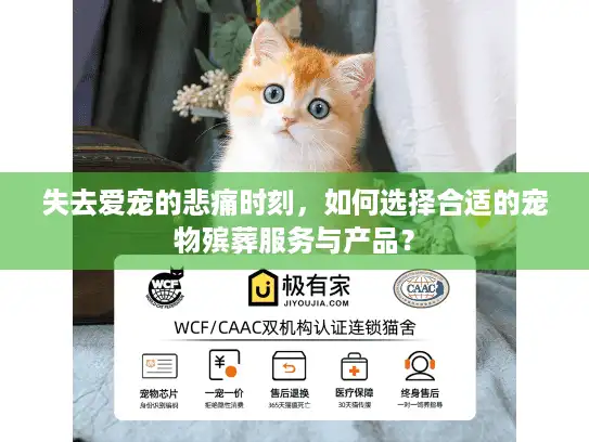 失去爱宠的悲痛时刻，如何选择合适的宠物殡葬服务与产品？