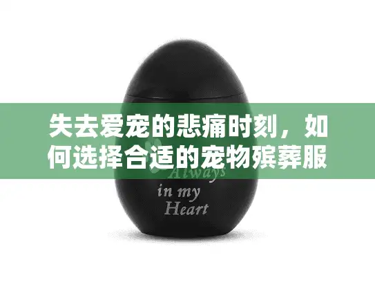 失去爱宠的悲痛时刻，如何选择合适的宠物殡葬服务与产品？
