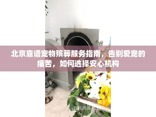 北京靠谱宠物殡葬服务指南，告别爱宠的痛苦，如何选择安心机构