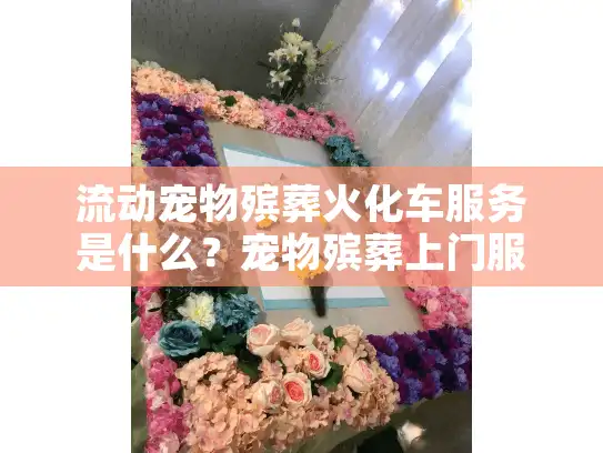 流动宠物殡葬火化车服务是什么？宠物殡葬上门服务带来怎样的改变？