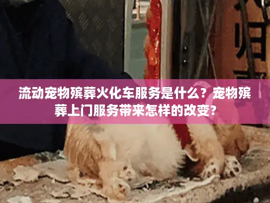 流动宠物殡葬火化车服务是什么？宠物殡葬上门服务带来怎样的改变？
