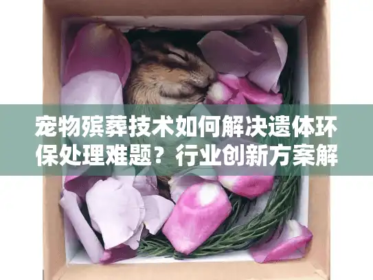 宠物殡葬技术如何解决遗体环保处理难题？行业创新方案解析