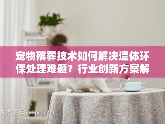 宠物殡葬技术如何解决遗体环保处理难题？行业创新方案解析