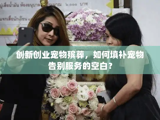 创新创业宠物殡葬，如何填补宠物告别服务的空白？