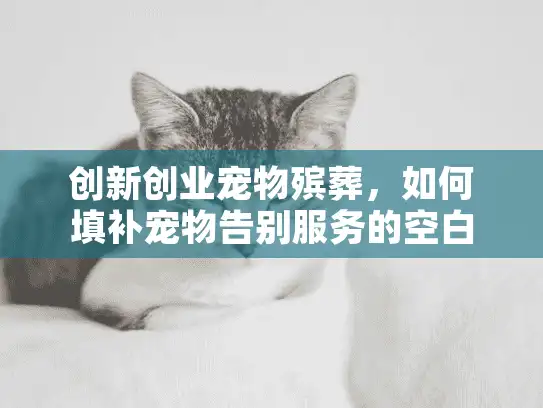 创新创业宠物殡葬，如何填补宠物告别服务的空白？