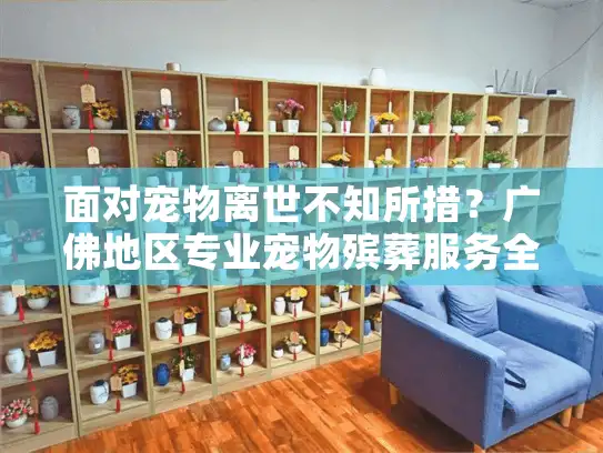 面对宠物离世不知所措？广佛地区专业宠物殡葬服务全指南