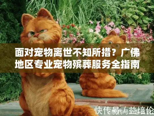 面对宠物离世不知所措？广佛地区专业宠物殡葬服务全指南